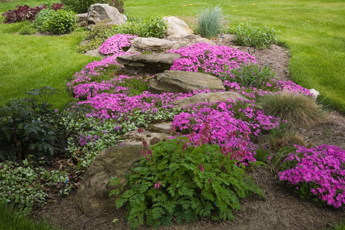 paysagement pierre naturelle